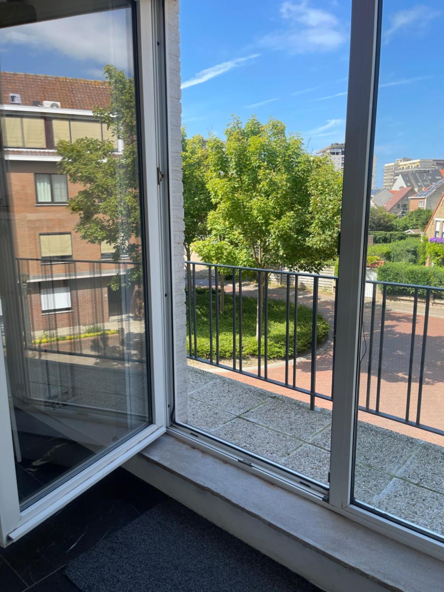 Poppies , Free Parking Gasthuis 3*